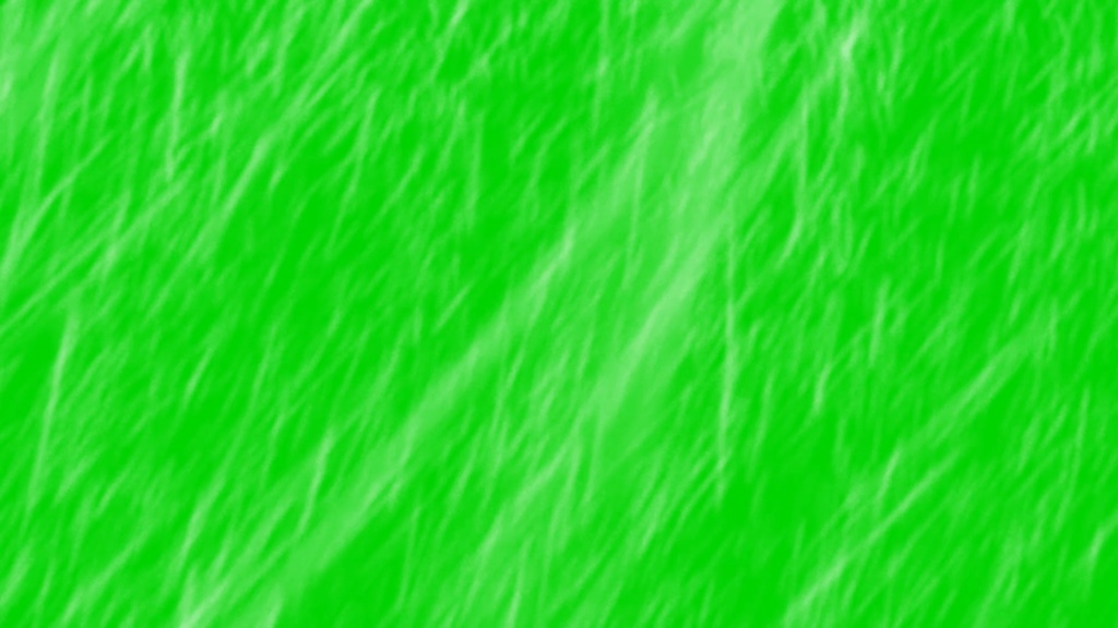 Snow Storm Footage Green Screen