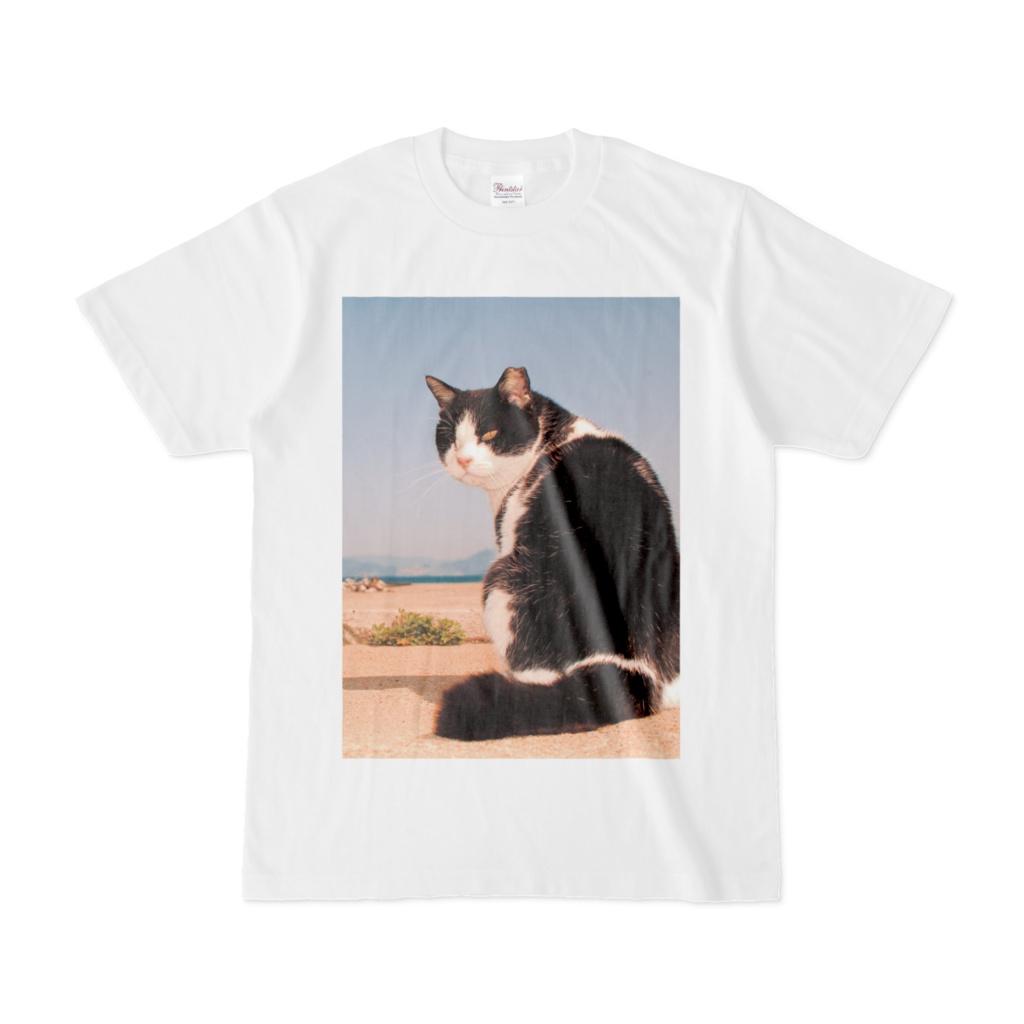 猫島の思い出