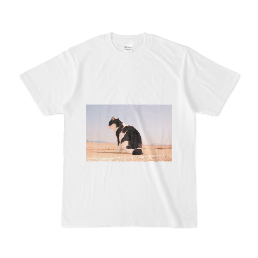 猫島の思い出