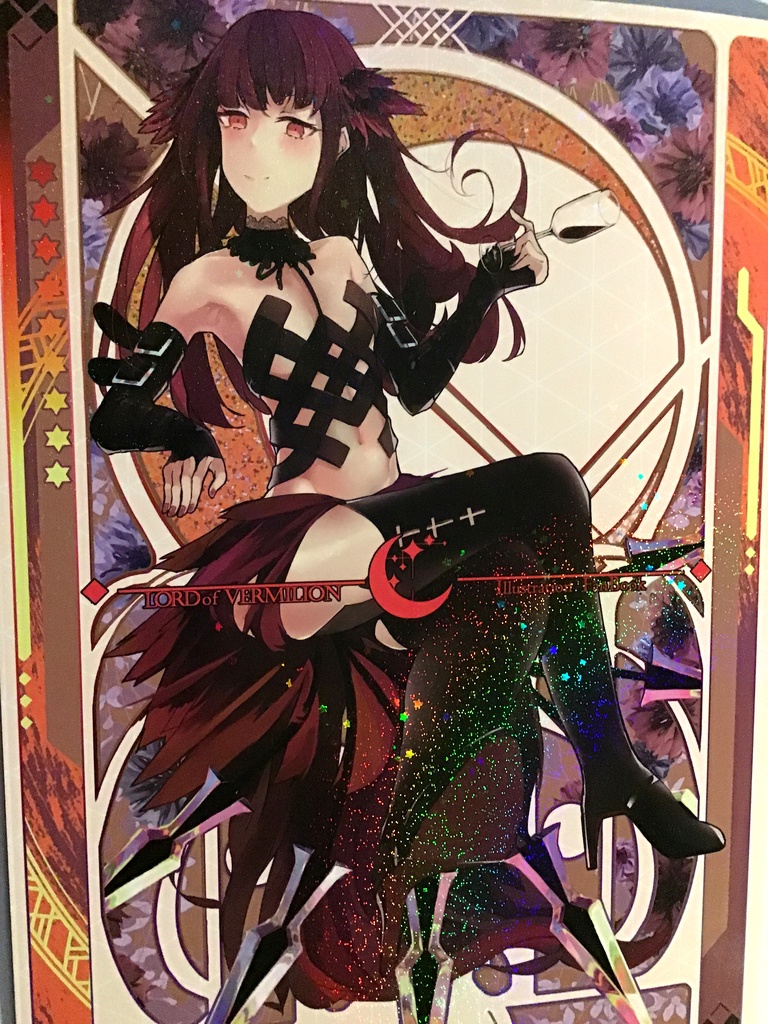 C -LORD of VERMILION Illustration FanBook-