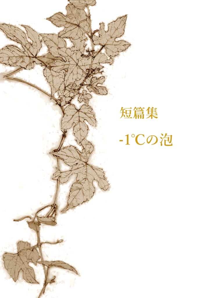 短篇集　-1℃の泡