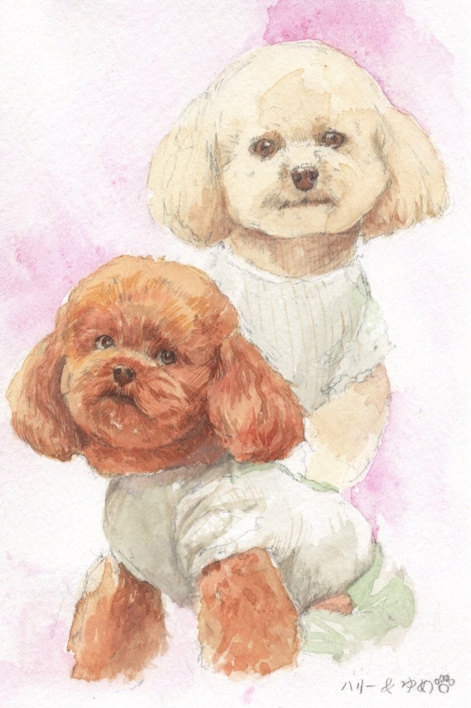 ペット似顔絵【オーダー】