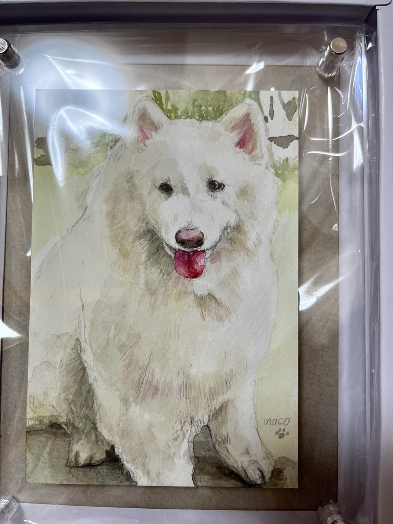 ペット似顔絵【オーダー】