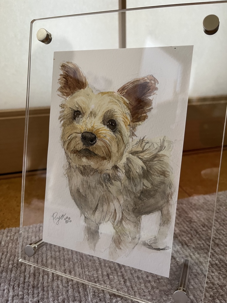 ペット似顔絵【オーダー】