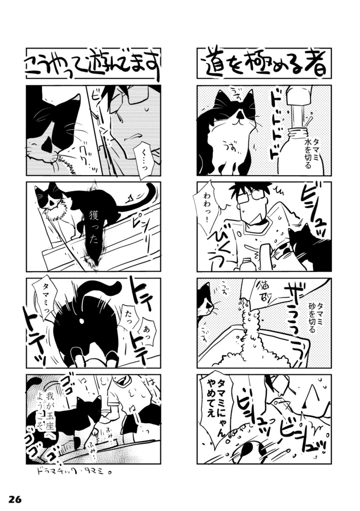 【DL版】初ねこ俺氏。