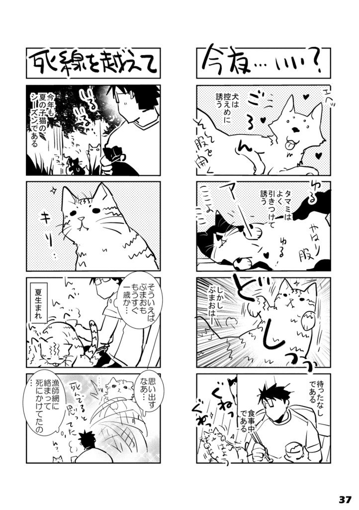 【DL版】初ねこ俺氏。