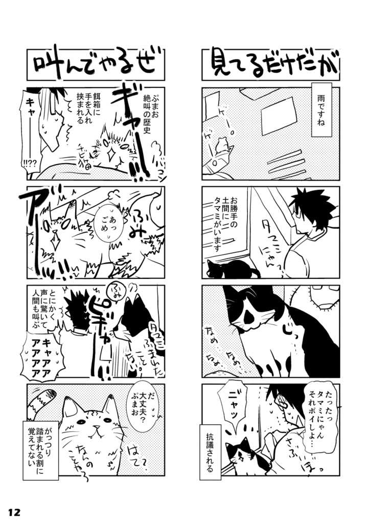 【DL版】初ねこ俺氏。