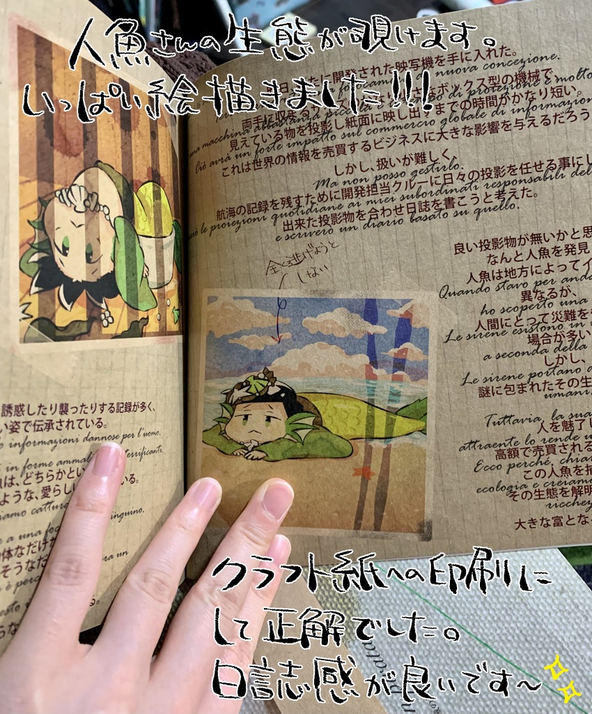 とある海賊の日誌【ぱやぱや人魚チョロちゃん】