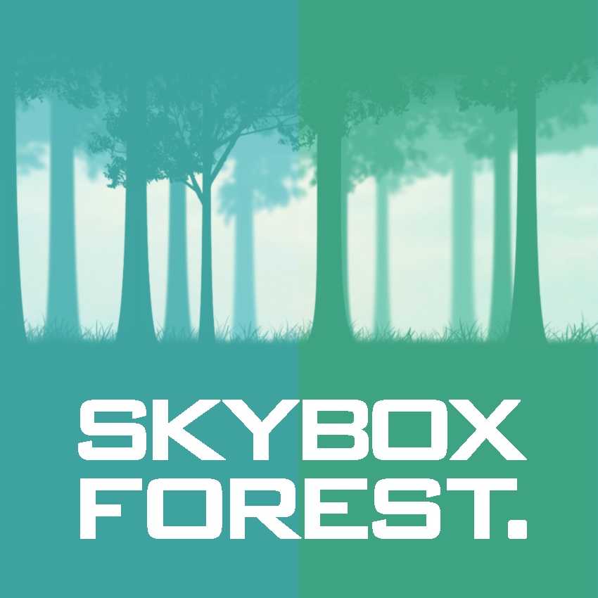 森のスカイボックス
