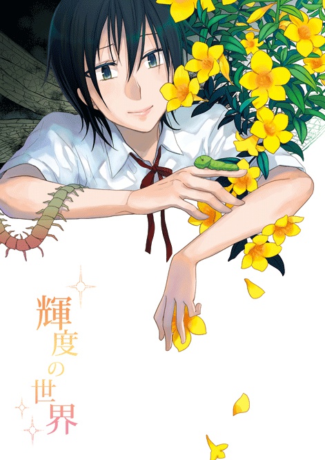 輝度の世界