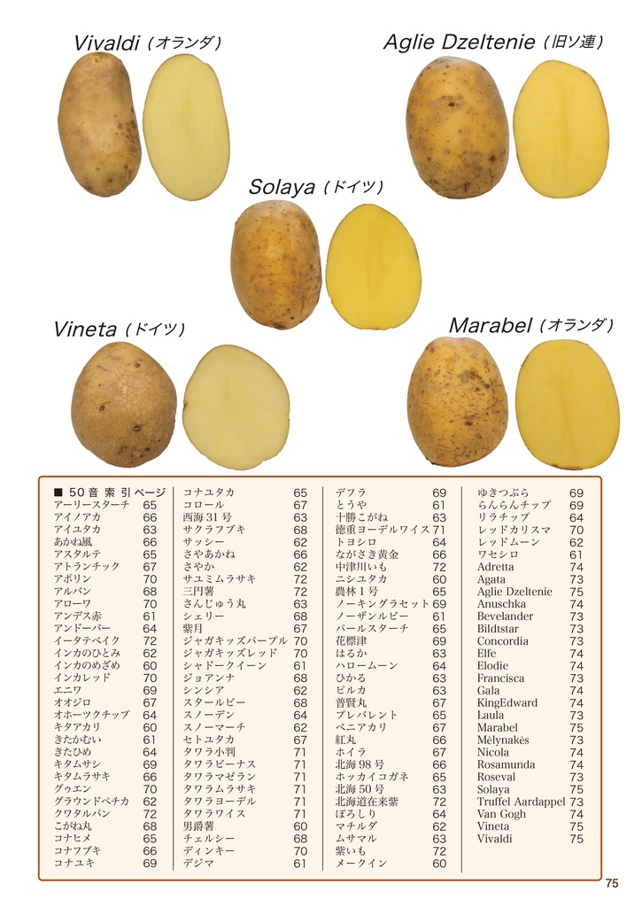 【C102新刊】 ジャガイモの同人誌! 改訂増補版 ジャガイモ学