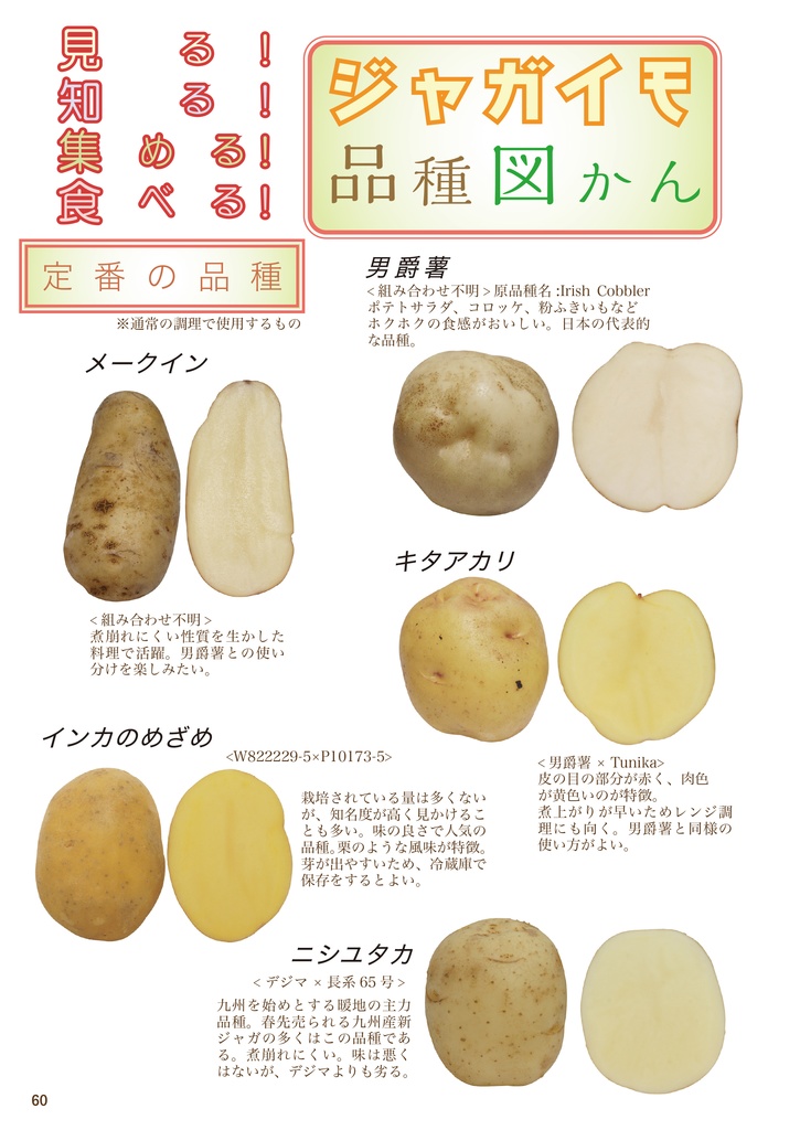 【C102新刊】 ジャガイモの同人誌! 改訂増補版 ジャガイモ学