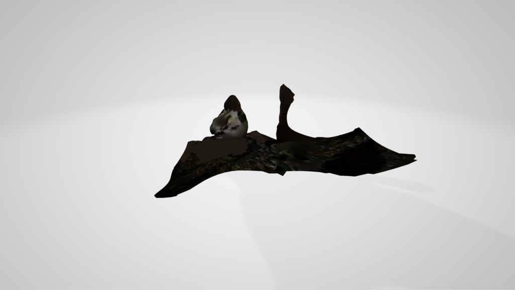 湘南探索ツアー002:高麗山公園「子供の森」(大磯)