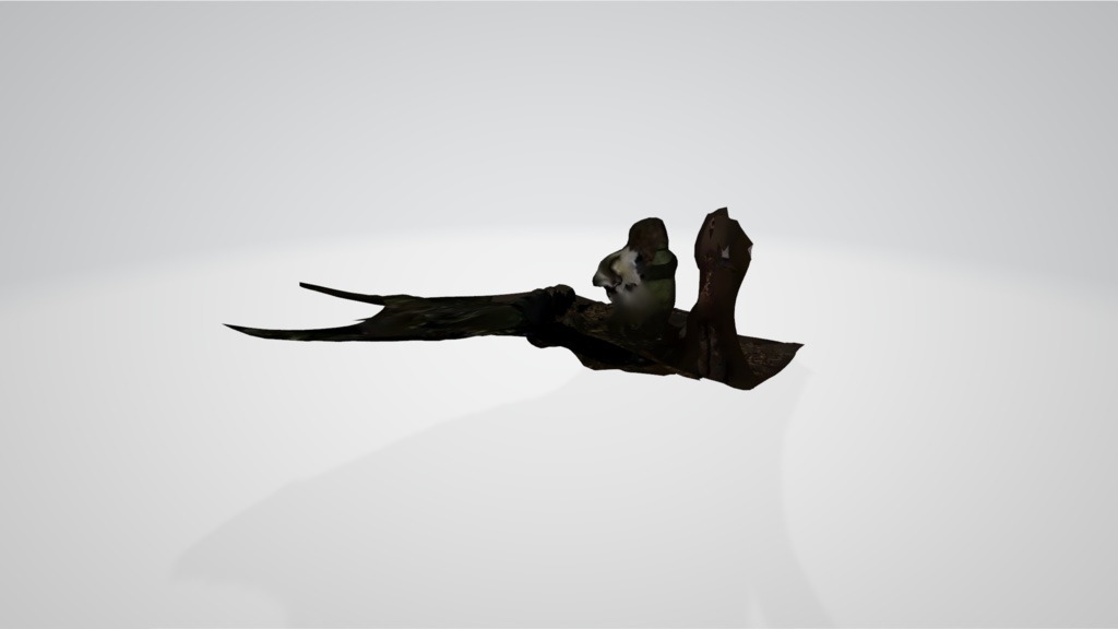 湘南探索ツアー002:高麗山公園「子供の森」(大磯)