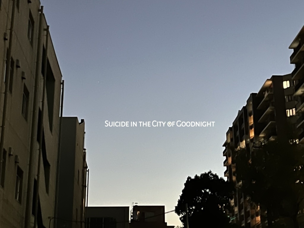 おやすみの街でスーサイド