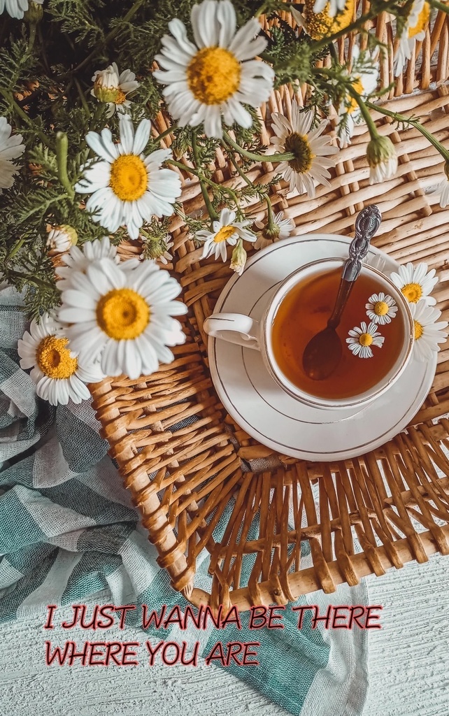 I just wanna be there where you are