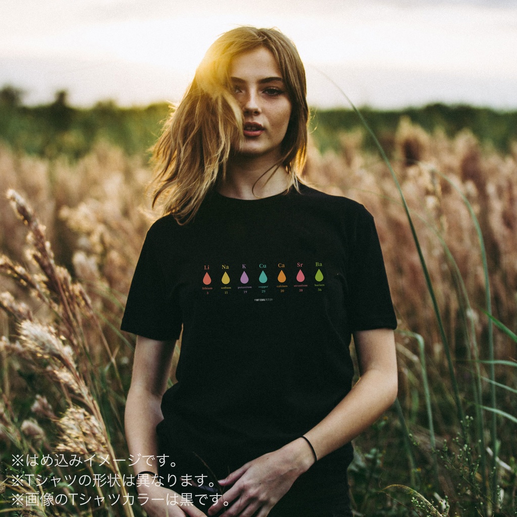 炎色反応 flame reaction/黒/Y!=T STUDY (S・M・L・XL) Tシャツ