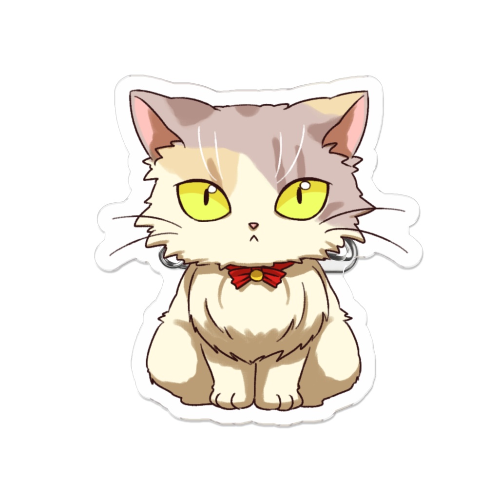 実家キャット　白三毛