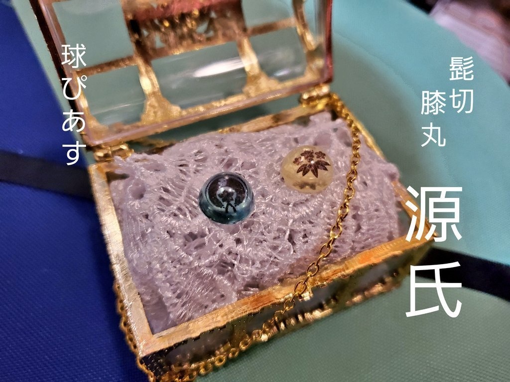 球ぴあす 江 源氏