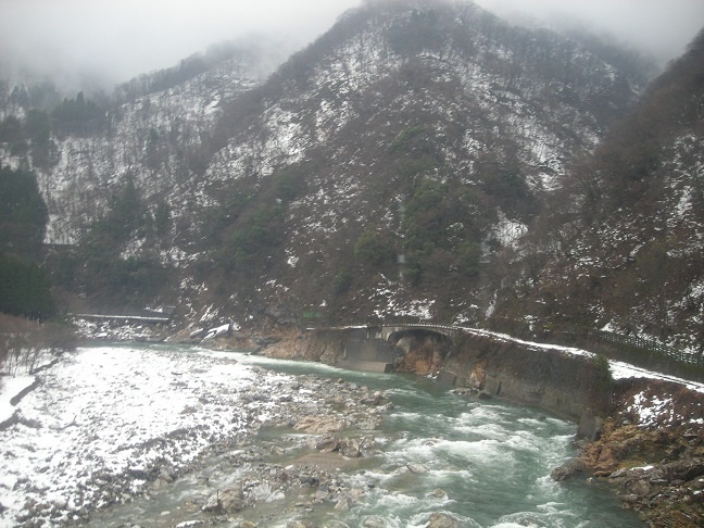 めい(隠居)への投げ銭