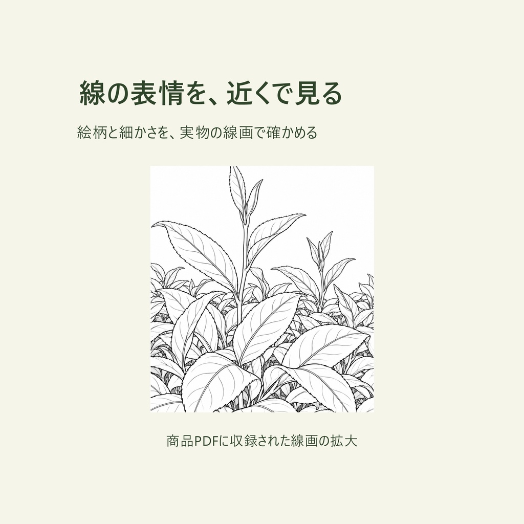 京都・和束の茶畑を塗って旅する|大人の塗り絵8枚と旅のガイド【A4・PDF】