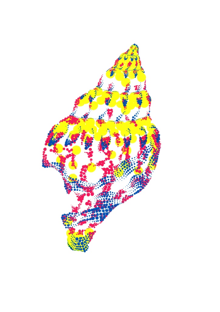 貝殻のロングスリーブTシャツ