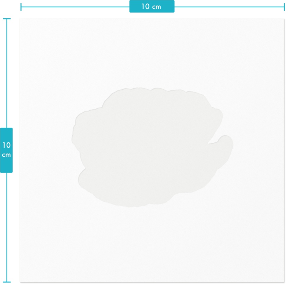 アネモネのシール