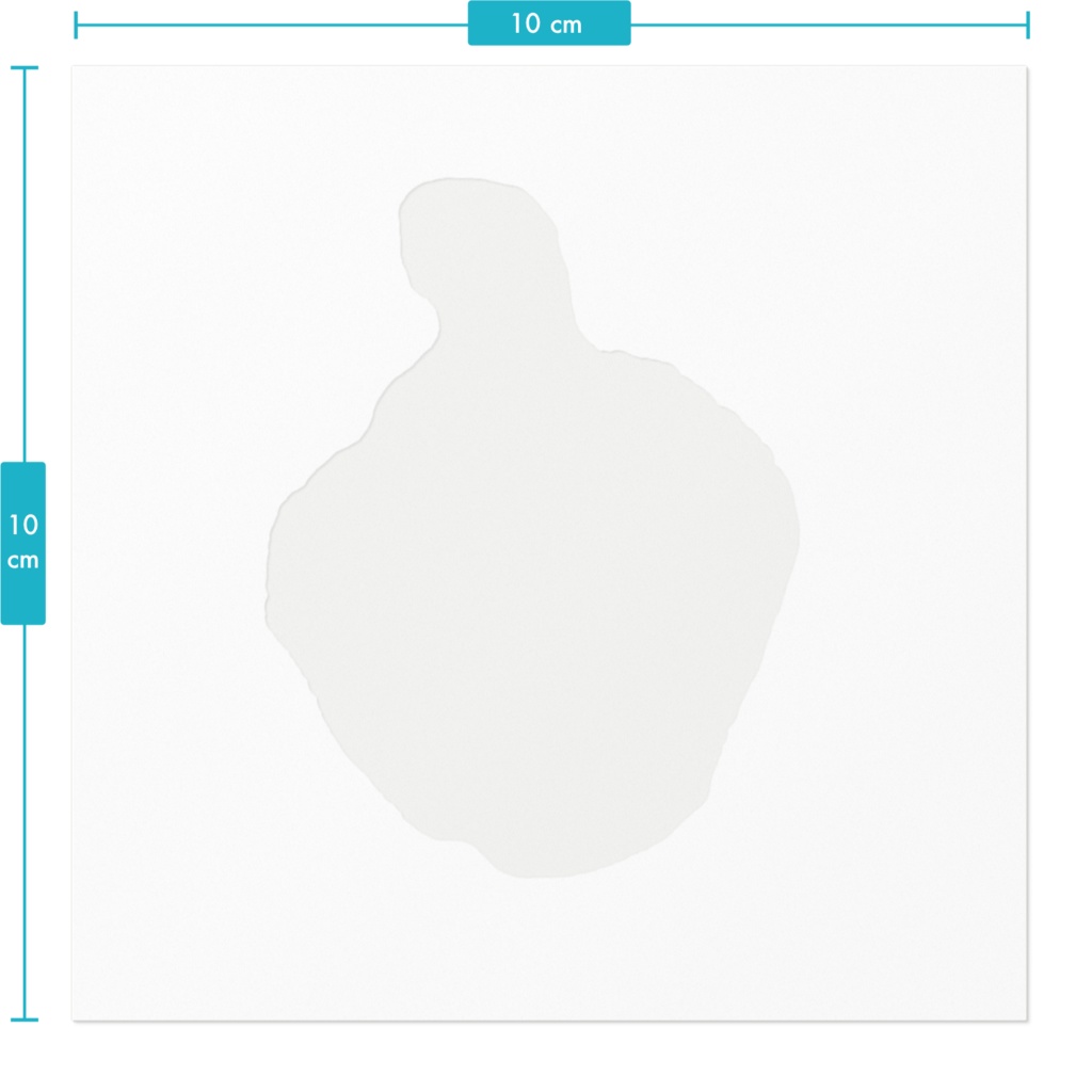 パプリカのシール