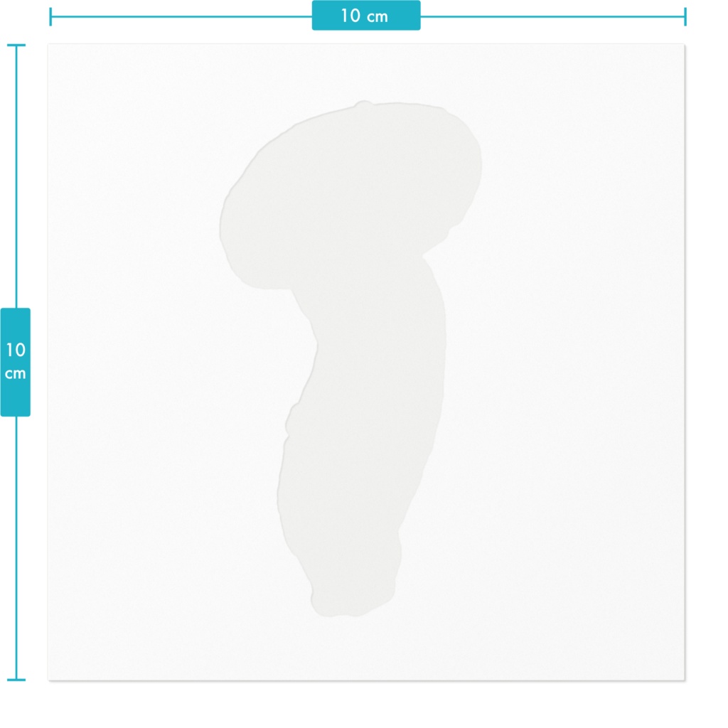 エリンギのシール