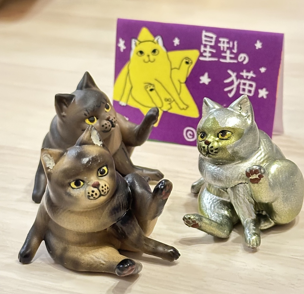 星型の猫（キジトラ）