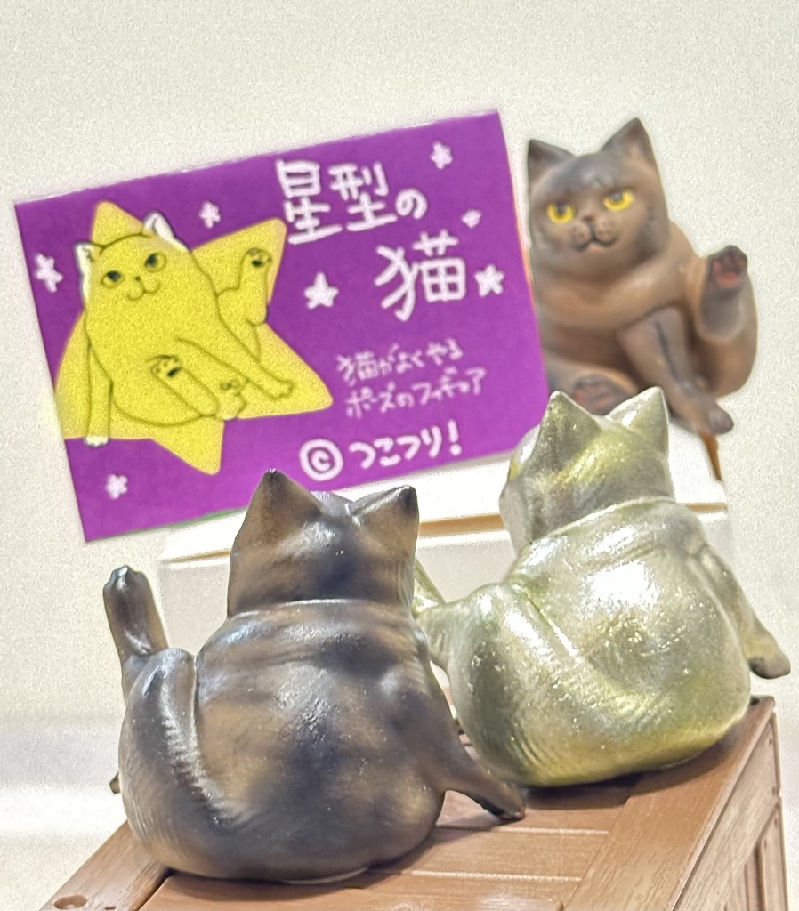 星型の猫(☆)