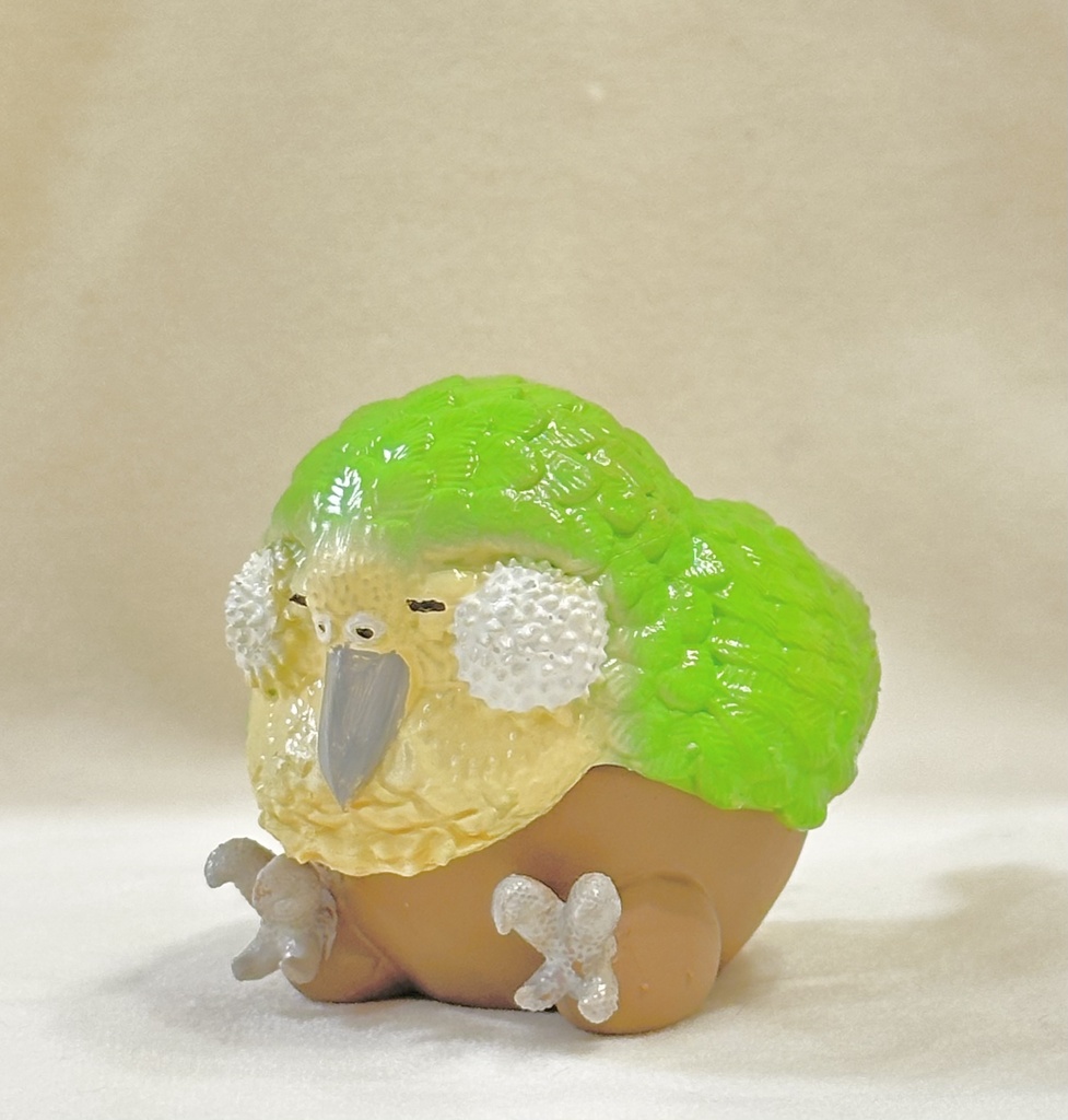 カカポの小物入れ