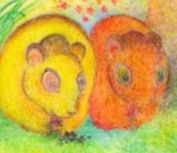 mice community