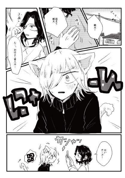 ねこみみはじめ