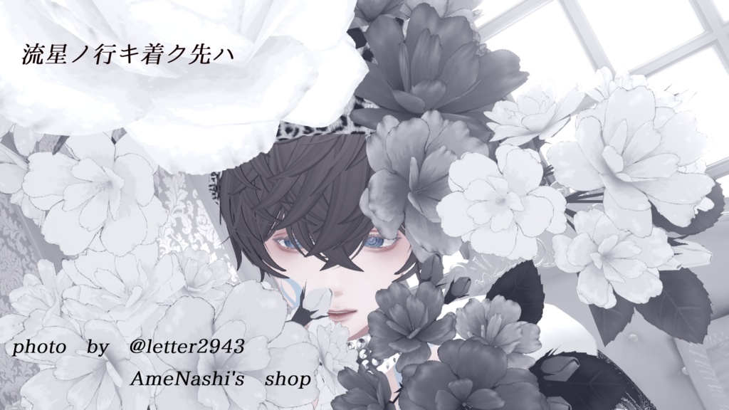 流星ノ行キ着ク先ハ