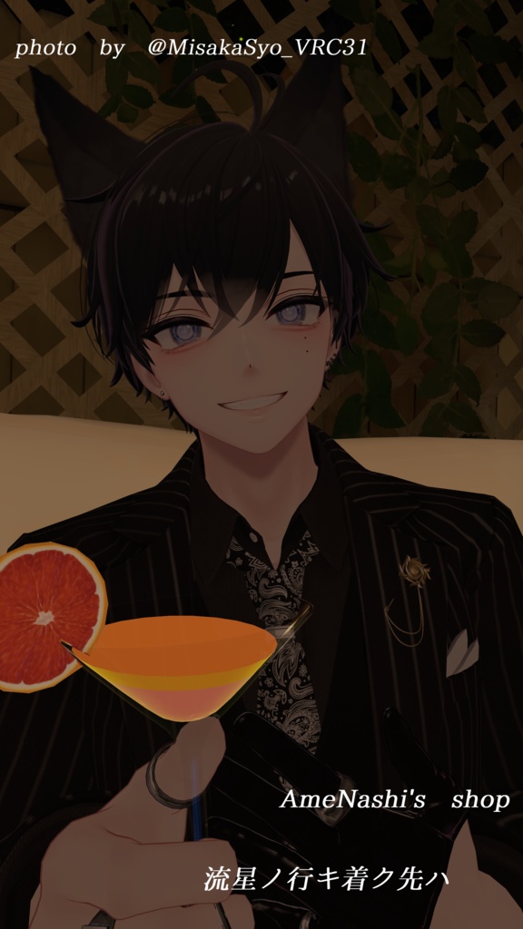 流星ノ行キ着ク先ハ