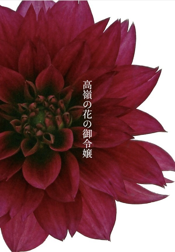 高嶺の花の御令嬢