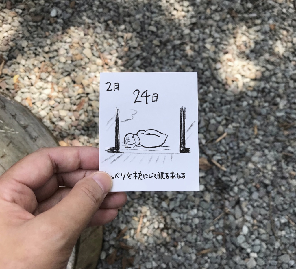 ぴめくりカレンダー