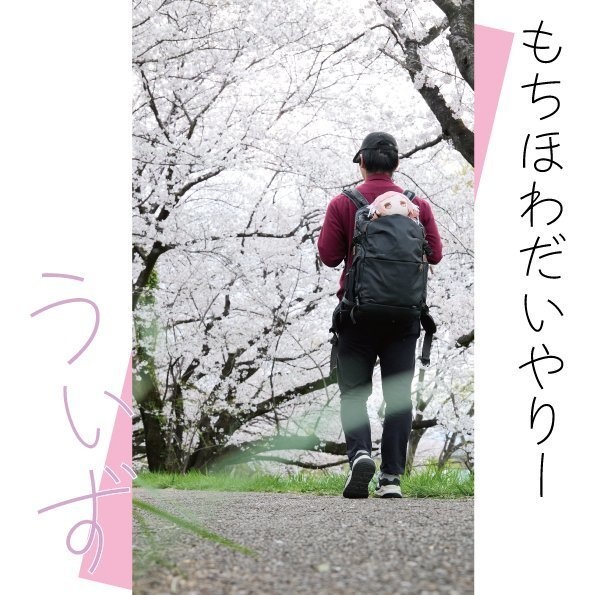 もちほわだいやりー　うぃず