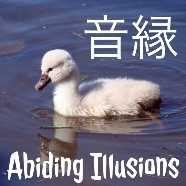 音縁 2nd Single「Abiding Illusions」