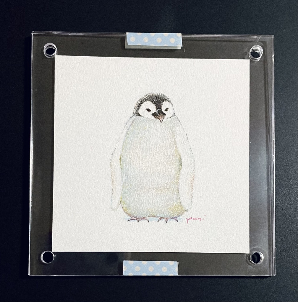 【動物原画】コウテイペンギン
