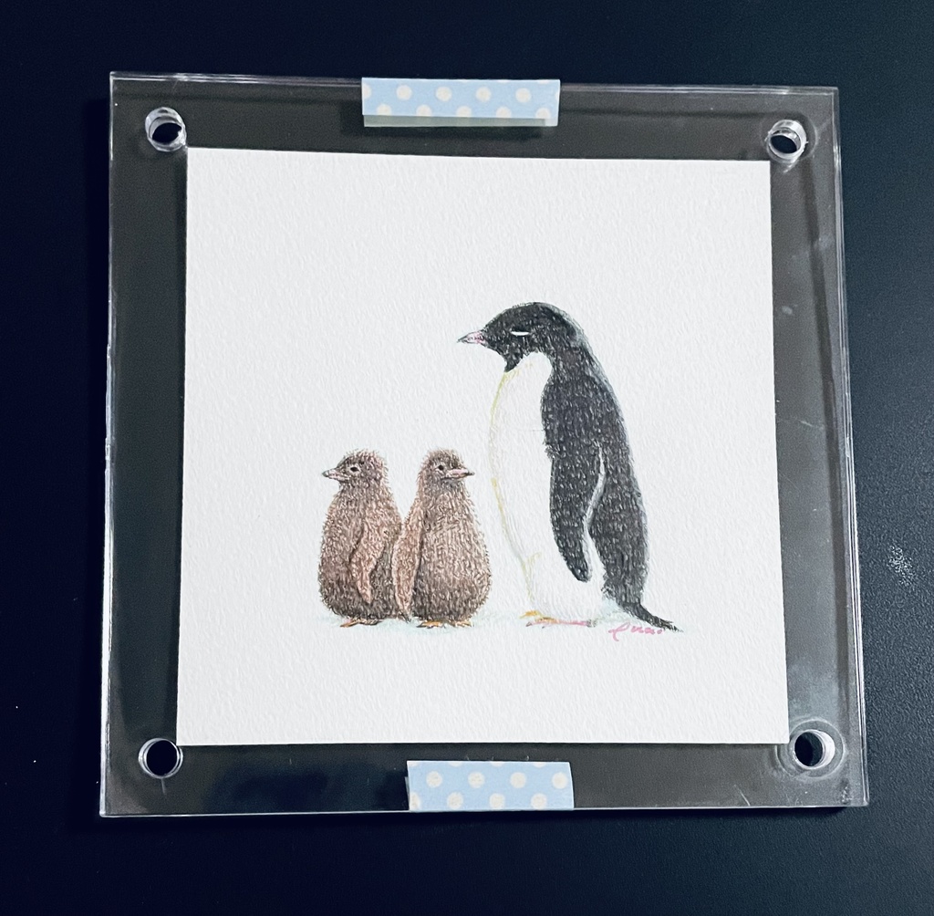 【動物原画】アデリーペンギン