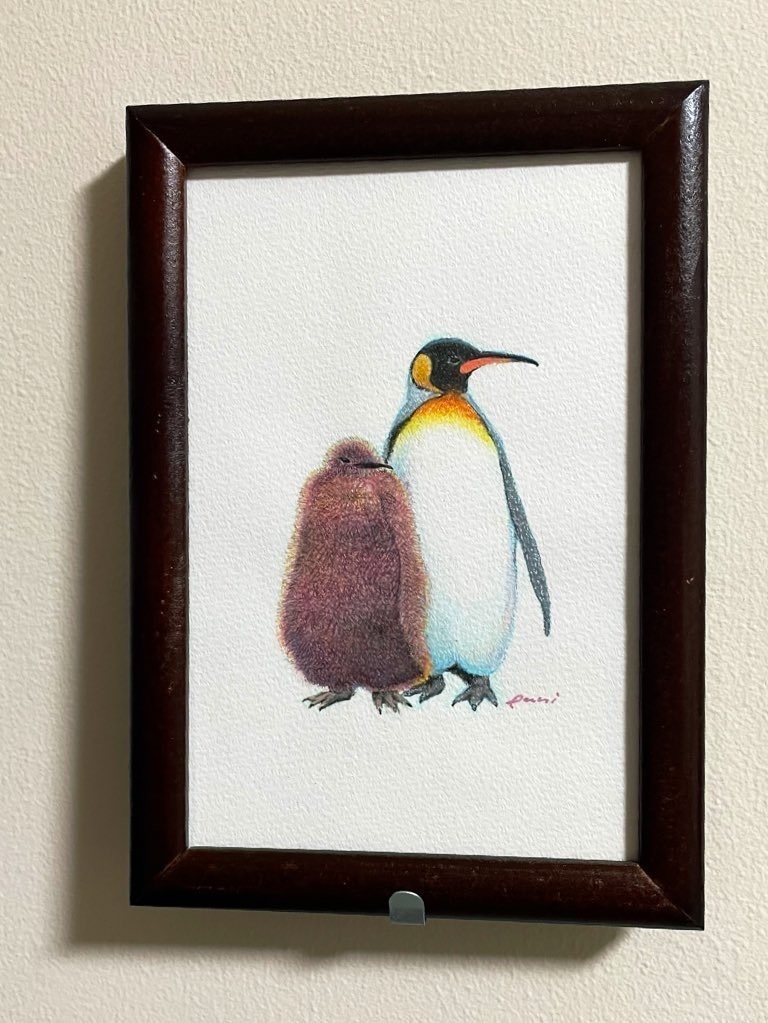 【動物原画】オウサマペンギン