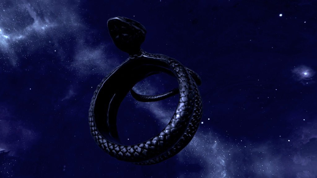 SnakeRing.BlackSilver