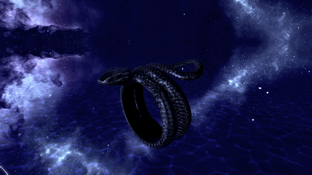 SnakeRing.BlackSilver