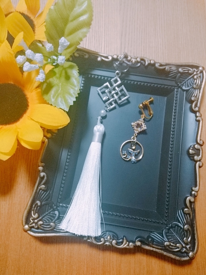 イメージイヤリング 🐳モデル