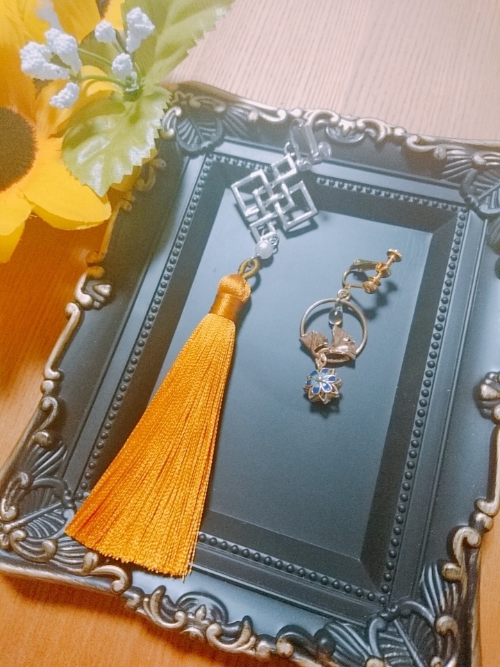 イメージイヤリング 🔶モデル