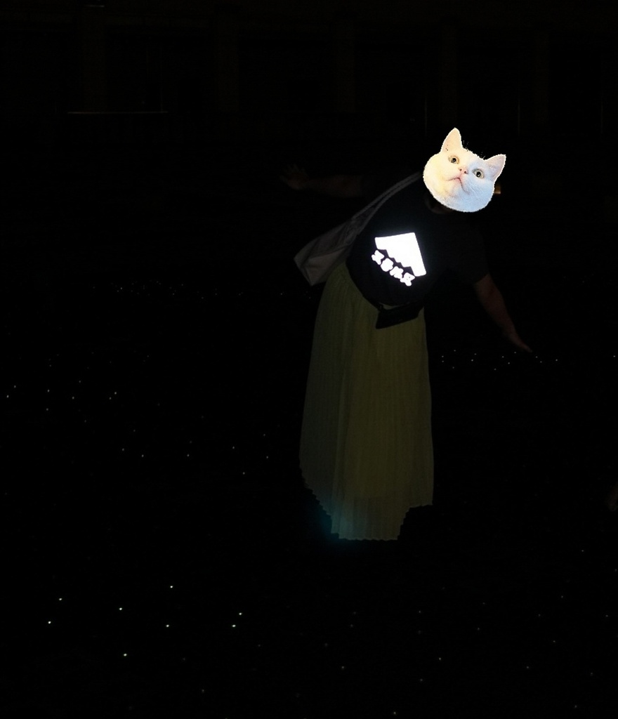 New新色追加 【特殊加工】B-2スピリット先輩。(シルバー反射プリント)