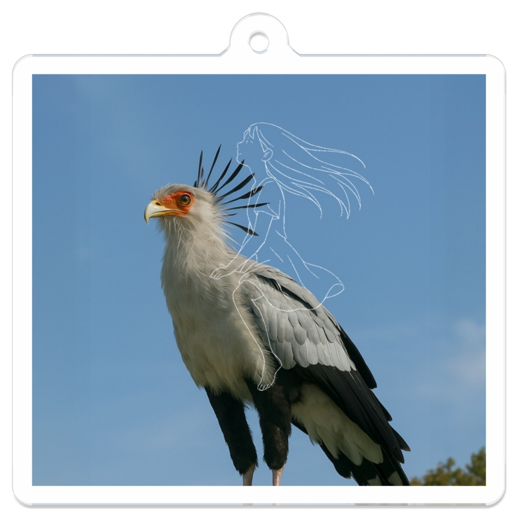 ヘビクイワシの背に揺られて|アクリルキーホルダー(line & light)