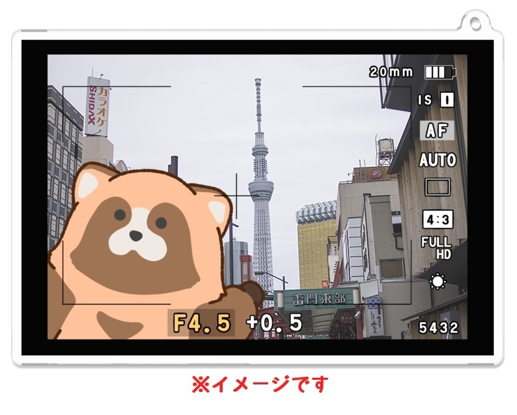 たぬきーほるだー 一緒にフォト(デジタルカメラ)